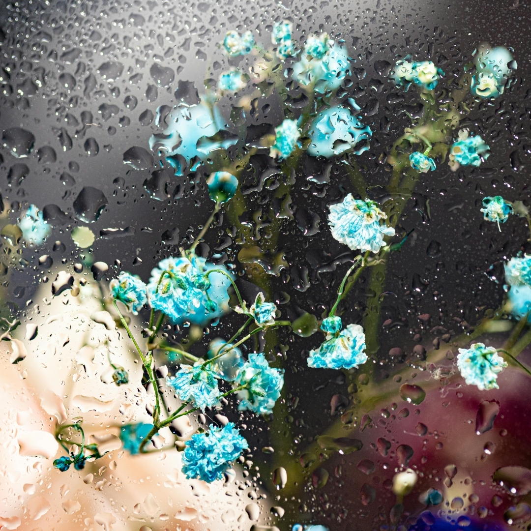 Lorem ipsum dolor sit amet